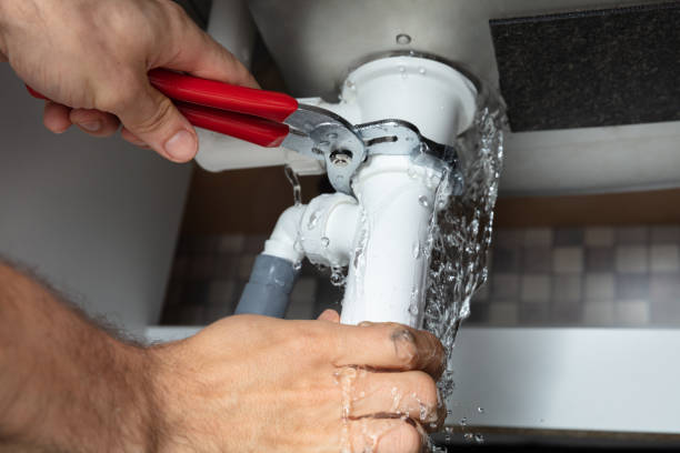 Best Mold removal after water damage  in Clinton, UT