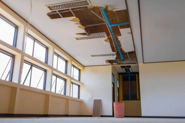 Best Water damage restoration process  in Clinton, UT