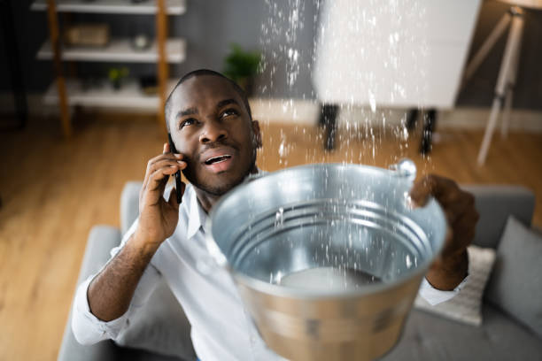 Best Water damage restoration services  in Clinton, UT