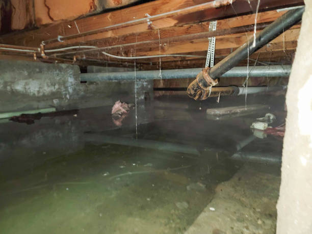 Best Fire Damage Restoration  in Clinton, UT