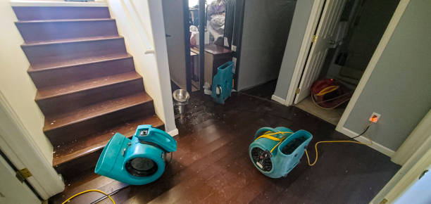 Best Fire Damage Restoration  in Clinton, UT
