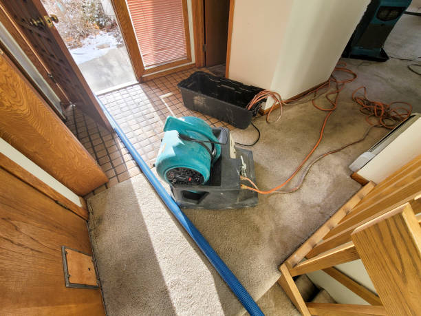Best Flooded house restoration  in Clinton, UT