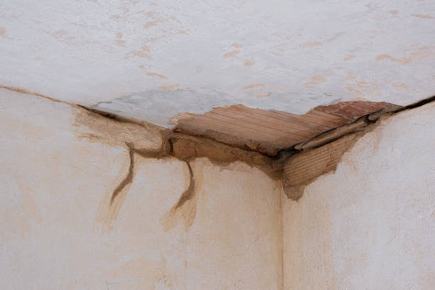 Best Water damage restoration near me  in Clinton, UT
