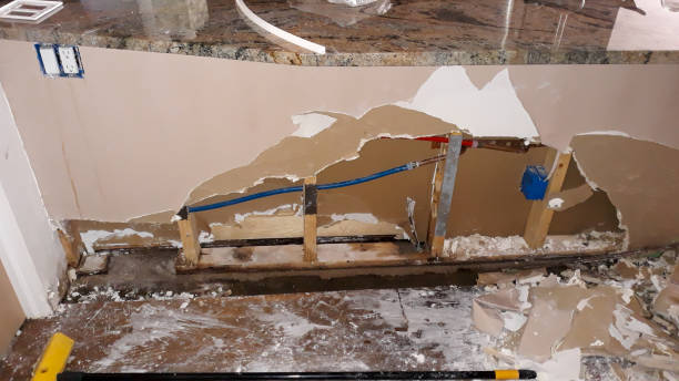 Best Water damage cleanup near me  in Clinton, UT