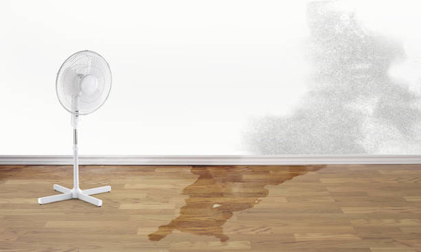 Best Carpet water damage restoration  in Clinton, UT