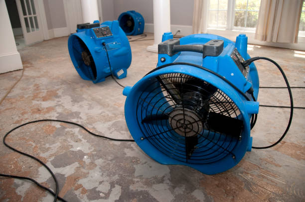 Best Water damage restoration near me  in Clinton, UT