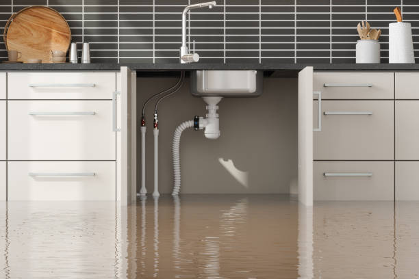 Best Ceiling water damage repair  in Clinton, UT
