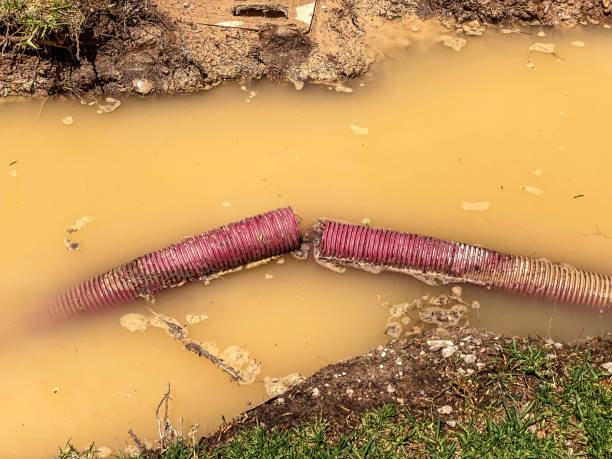 Best Water damage restoration company  in Clinton, UT