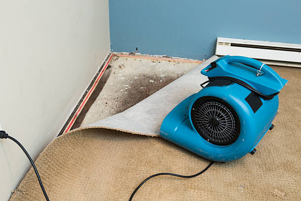 Best Sewage cleanup and water damage restoration  in Clinton, UT